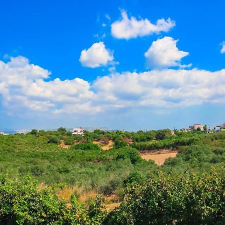 Villa Panagiotis Chania Daratsos ภายนอก รูปภาพ